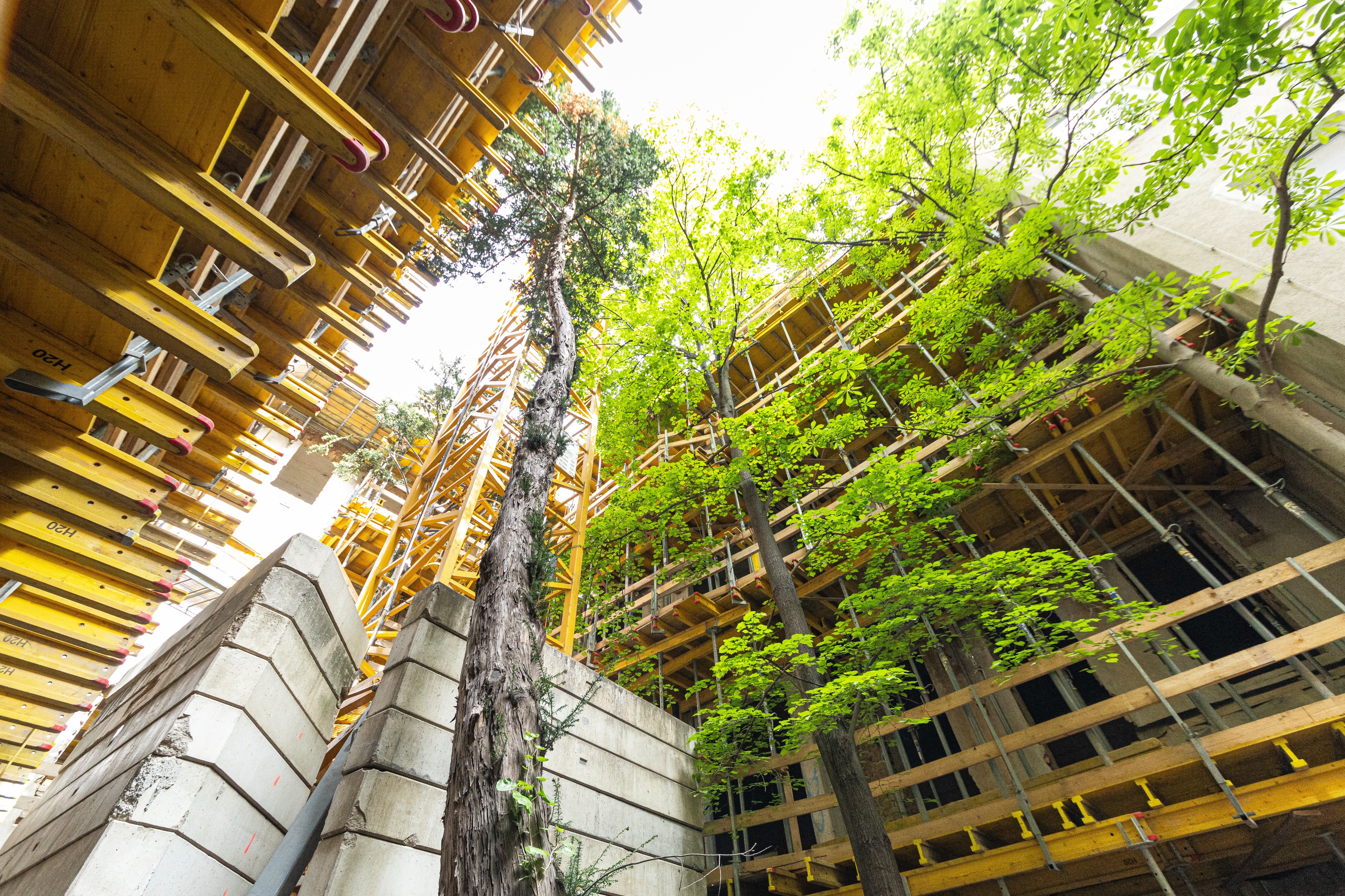 Foto von STRABAG Baustelle 