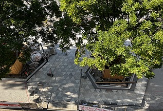 Foto von NEST, Wiener Staatsoper