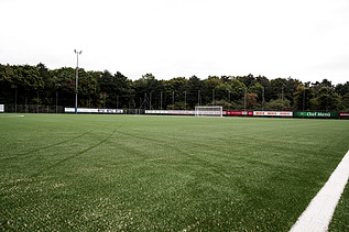 Foto von Vereinssportanlage 1100