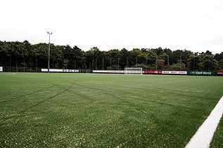 Foto von Vereinssportanlage 1100