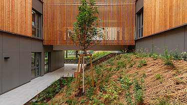 Foto von Holzpavillon Wien