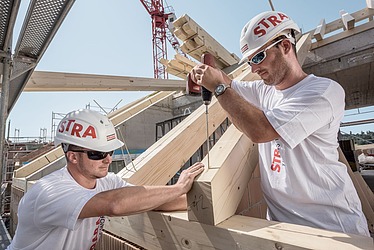 Foto von Männern die mit Holz bauen