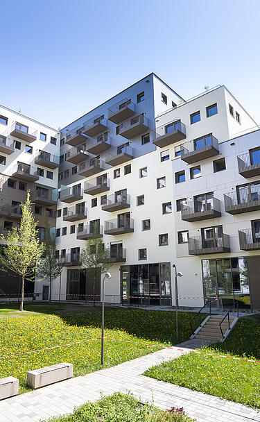 Foto von Green Cube Gebäude