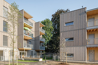 Foto von zwei Männern die mit Holz bauen