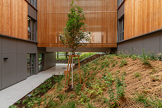 Foto von Holzpavillon Wien