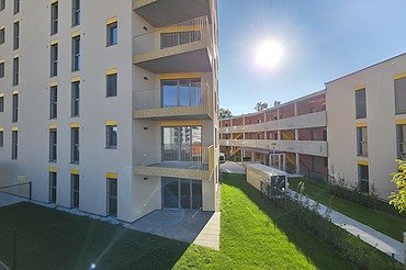 Ein Viertel Grün Foto von Ein Viertel Grün