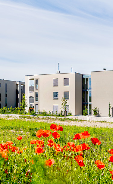 Foto von Wohnanlage und Doppelhäuser 