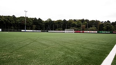 Foto von Vereinssportanlage 1100