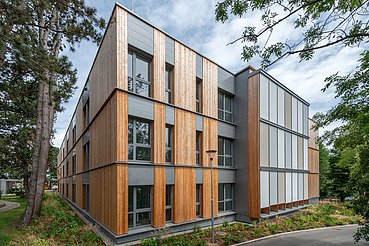 Foto von dem Holzpavillion Wien